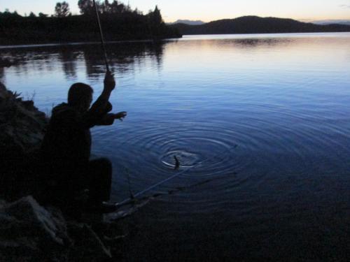 夜钓最好的机会来了!18条经验助你成功爆护!