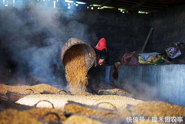  食物中毒|食物中毒离我们并不遥远，除了酸汤子，这7种食品也能变“杀手”