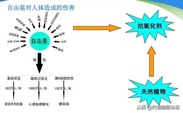 氘元素抑制氧化作用