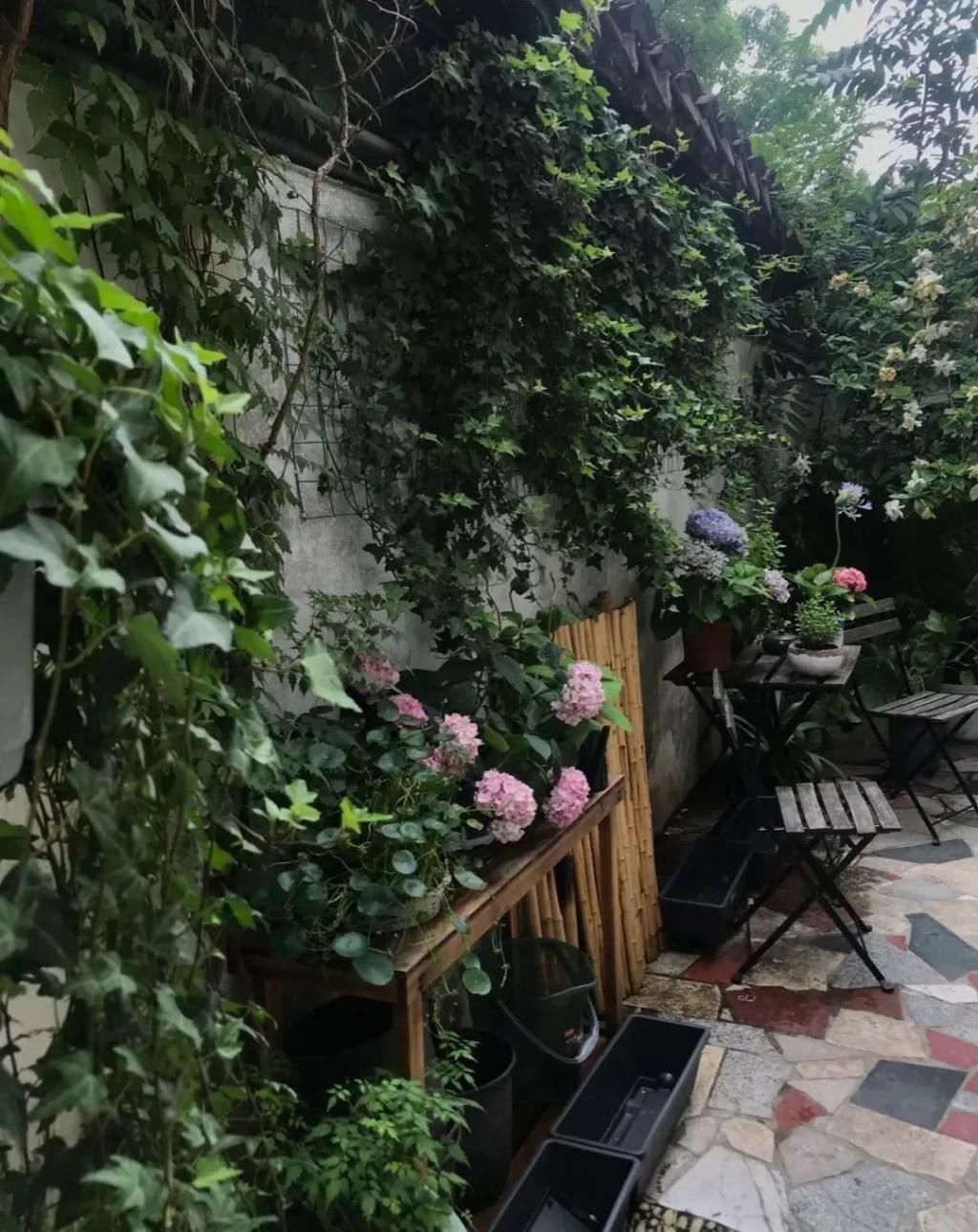 等我老了以后,找个小院陪你养花种菜!