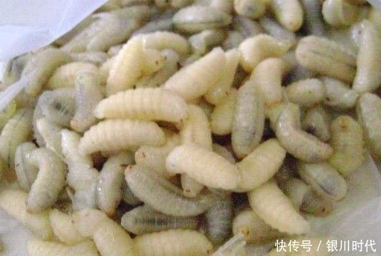 百合|皱纹“害怕”的几种食物,女人常吃,补充胶原蛋白,越吃越年轻