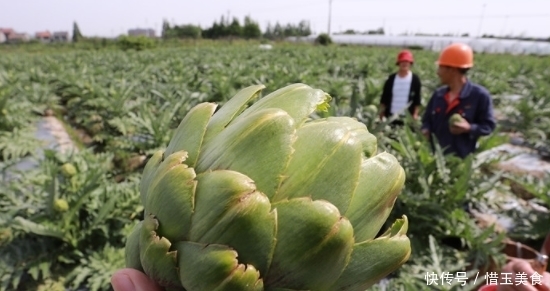 称为|被外国人称为“蔬菜之皇”的蔬菜,在国外畅销,而我国吃的人不多