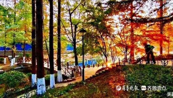 人间|城市的氧吧，人间的仙境——景色迷人的青岛植物园