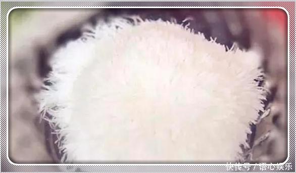 日本大厨挑战中国刀功,鱼片切透明,中国厨师:只是雕虫小技罢了