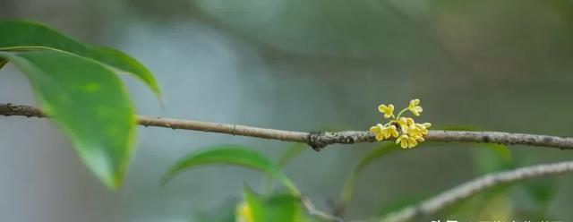 诗词|诗词丨8首佳作,标题仅1个字