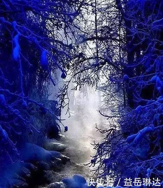 太美了，世界照片今天终于传来，罕见至极，一睹为快