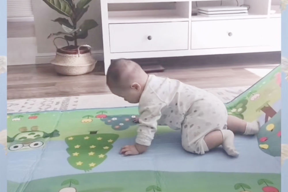 宝妈|宝宝会爬不会爬到底差在哪?明确这几点,让你的娃“领先”发育