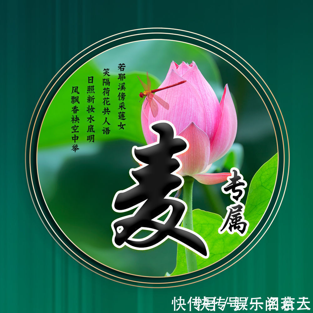 世人大!用你的姓氏当头像,20张唯美荷花大气图片,中国风华丽登场