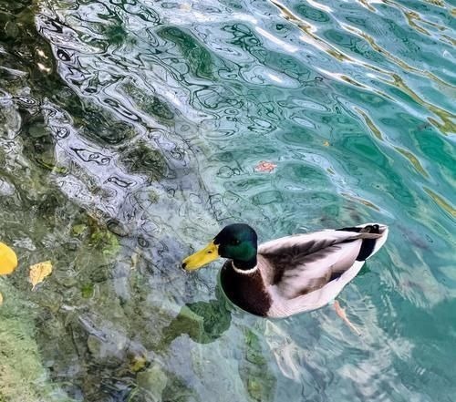 家庭和睦|跟踪3年,调查1420名百岁老人,长寿的秘诀不是吃和运动,答案是它