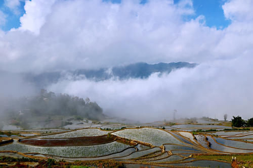 梯田|开车一小时海拔升高两千米，还全是盘山公路，却意外发现了蓝色梯田