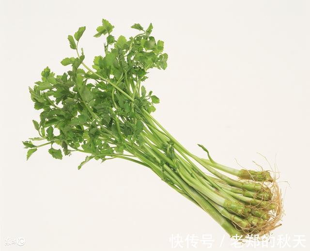 慢性皮肤病|香菜是“抗菌之王”, 但不能和它一起吃, 很多人还傻傻在吃