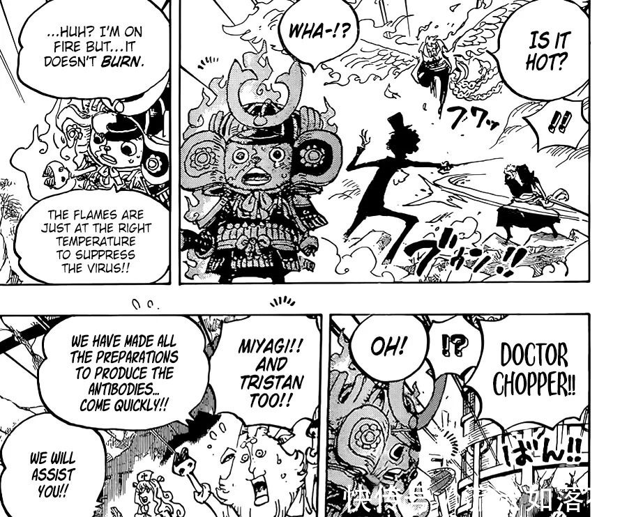 光彩|海贼王998话,不死鸟马尔科大放光彩,全体飞六胞恶魔果实公布