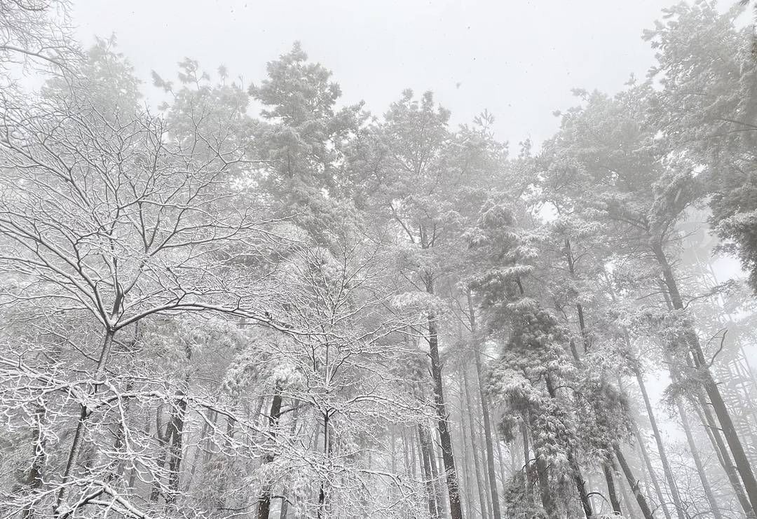 成都的雪不够大？这里有一份四川冬季玩雪攻略请查收