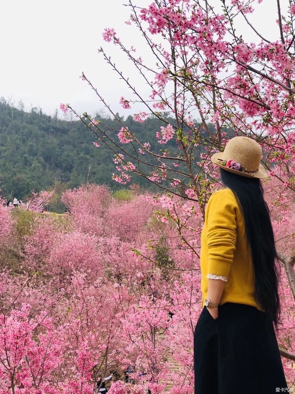 邂逅那片花海