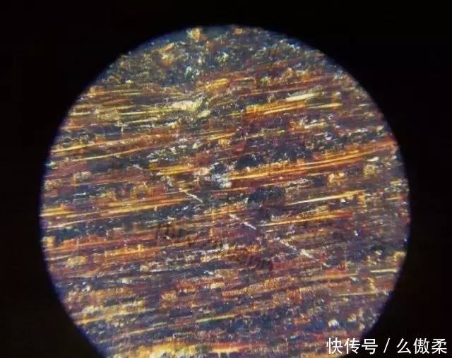  放大|把金丝楠木放大100倍后的样子，你有见过吗？