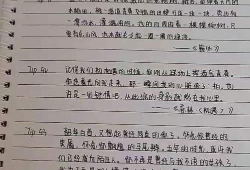 高中生苦练“鲸落体”曝光，字迹清晰风格唯美，老师直言不忍扣分