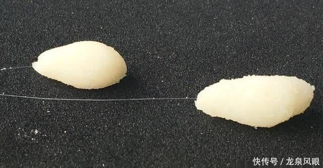 鱼饵“状态”怎么玩?看看啥鱼爱吃啥状态吧,看懂后上鱼几率大增