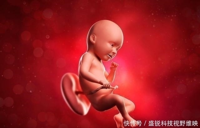 发育|怀孕后，若孕妈有3个“特殊”表现，说明胎儿很聪明，恭喜你