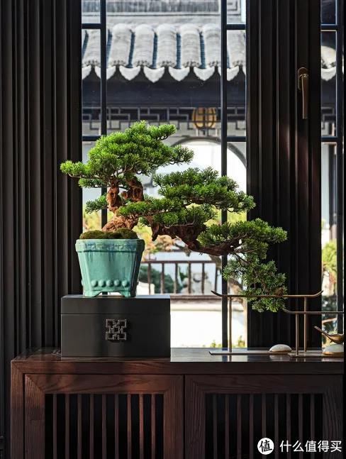 桃花源|有一种诗意，叫做白墙黛瓦，296㎡园林庭院，都市里的桃花源