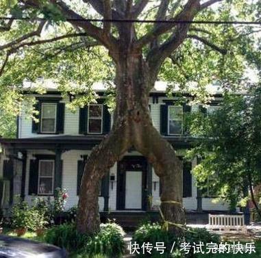 |47张“倒霉又搞笑”的图片，这些人上辈子是毁灭了银河系吗？