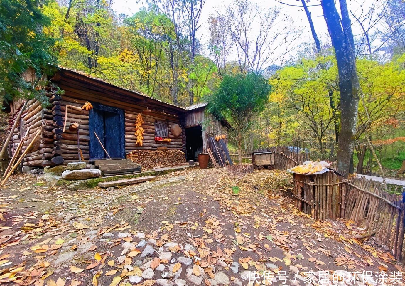 秋天|抓住秋天的尾巴，发现更美的秦岭