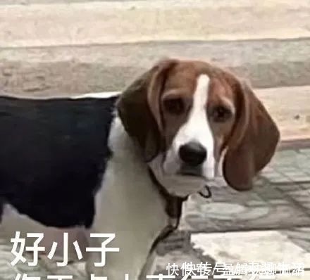 买方|这可能是全网最全面最详细的二手房交易流程,建议收藏!