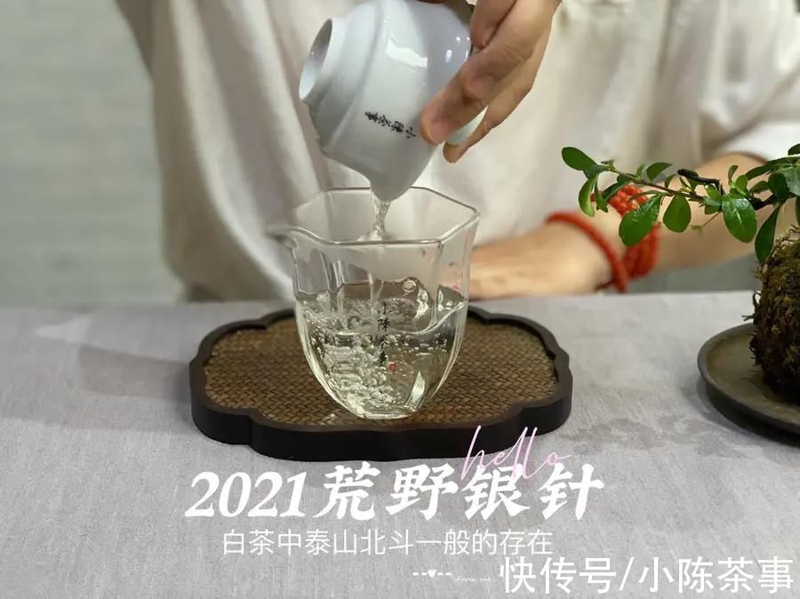 白毫银针$泡茶水温重要吗？80℃、90℃、100℃，谁才是泡白茶的最佳水温？