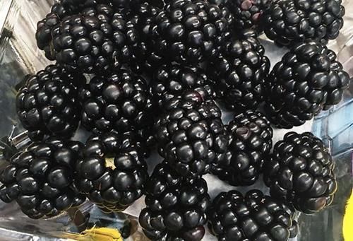 山楂|女性想身体变年轻，平时吃的食物，调理肠胃，排毒消脂，促进消化