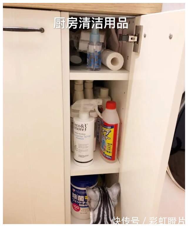 温馨|上海夫妻的38㎡小家,装修不豪华却很精致,日子过得简单幸福!