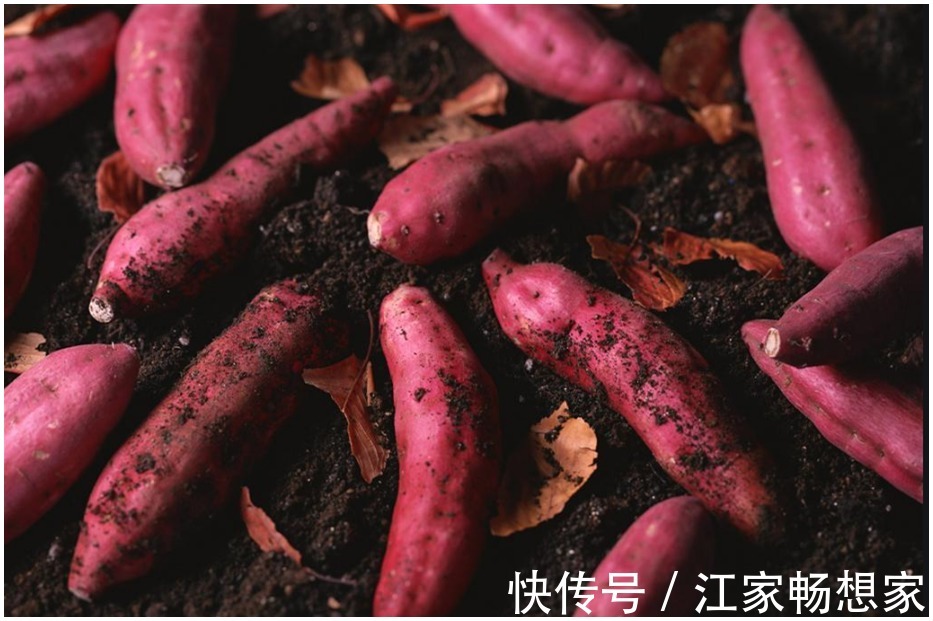 130个万能生活小常识，你竟一个都不知道收藏，让全家都受益！