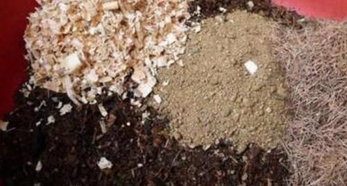 花盆|什么东西适合养花?这些宝贝,帮搞定花盆、花土、花肥问题