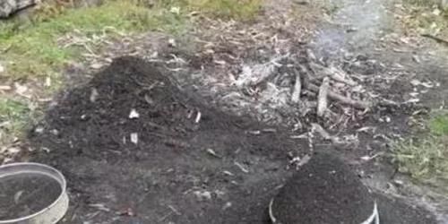 药片、黄豆养花全需下成本，不如用这2样灰，一分钱不花又实用