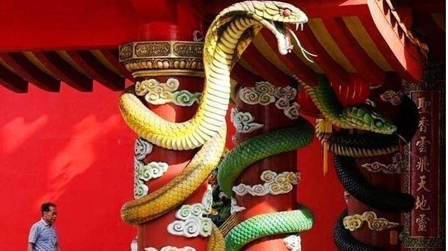 寺庙|世上唯一的“蛇庙”，寺内青蛇泛滥，游客：我们一点都不害怕