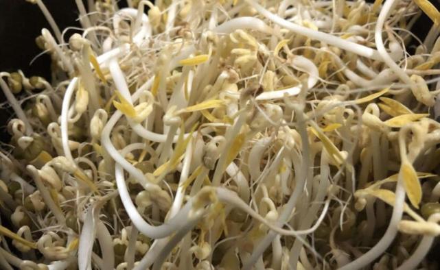 锅里|炒“豆芽”时到底焯不焯水,许多人做错了,难怪豆芽不脆爽!