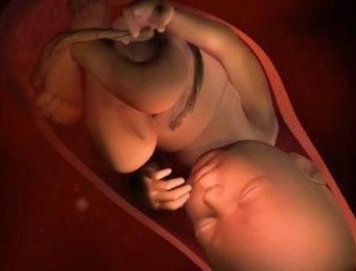 孕期10个月胎儿是如何生长的，孕妈又该如何补充营养？