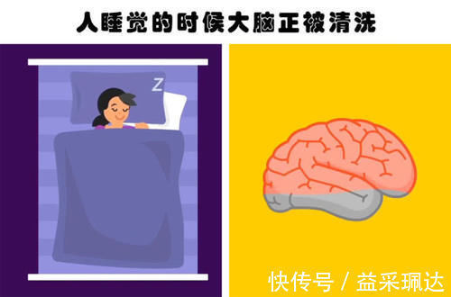 冷知识！即便真正的学霸也未必知晓的9个有趣的冷知识