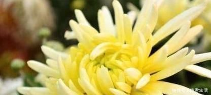 食物|女性想要皮肤好，推荐吃3种食物，美白淡斑，延缓衰老，好处多多