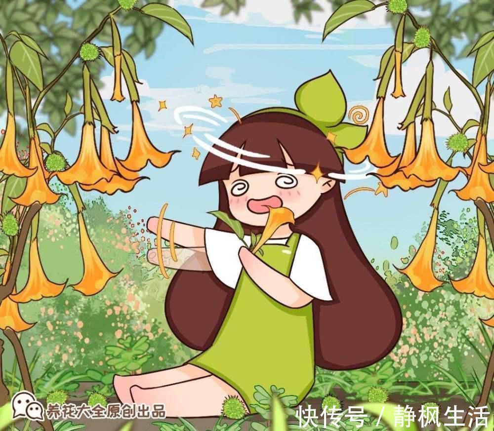 不适合养在室内的花,赶紧搬出去,再漂亮都不要养!