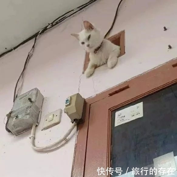 |爆笑段子:你以前都自称老子,最近变成老娘了