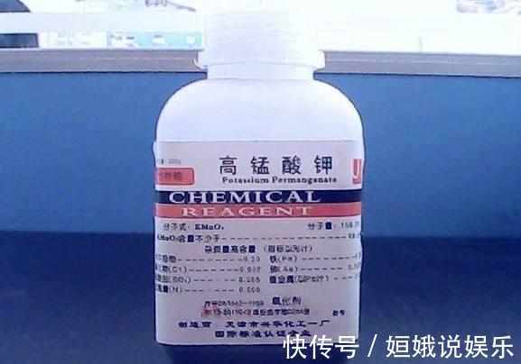 秋天|秋天,可以扦插了,花卉这样扦插很快就发芽长根,插啥都能活