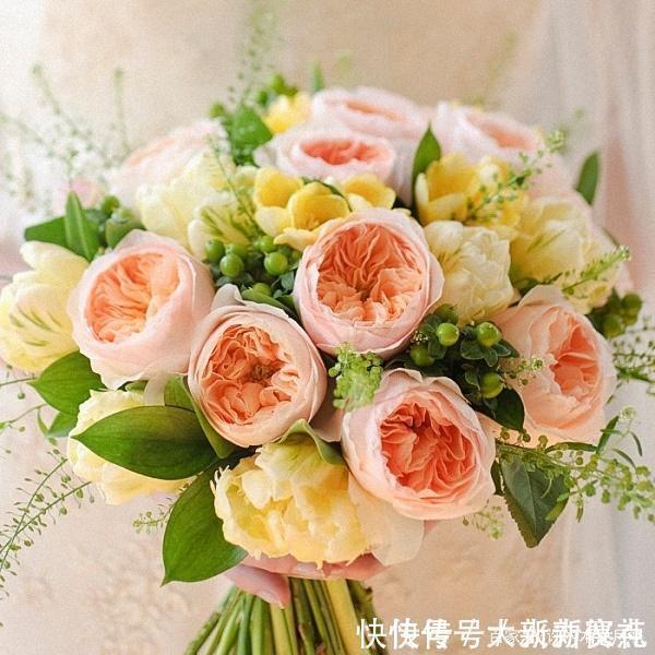 花型|25款勤花又好养的月季品种推荐。新手一定要来一颗,盆栽地栽都行