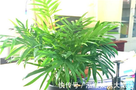 温度过高|客厅2个地方,千万别养花,不能忽视,养了也尽快搬走!