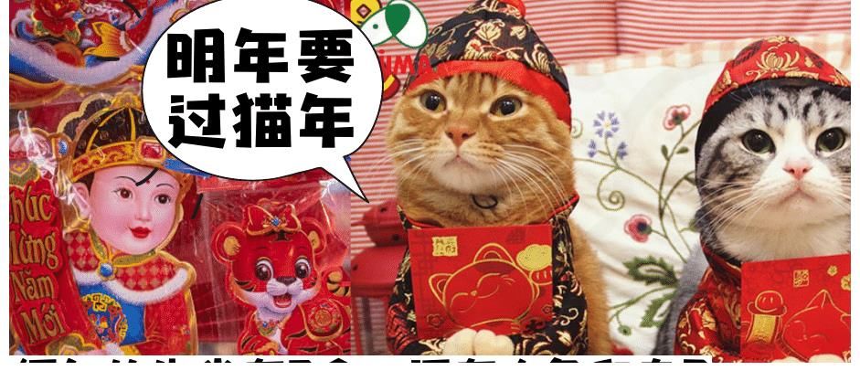 12生肖|越南12生肖里没有兔，竟是由可爱的猫代替