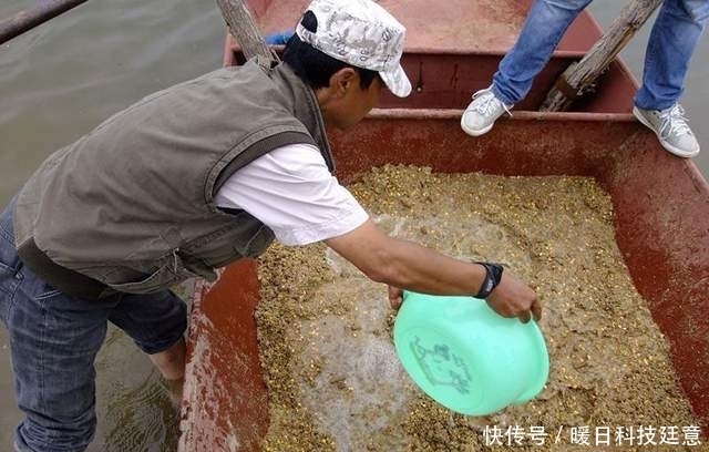 大鱼|为什么游钓中国李大毛钓的鱼都那么大?