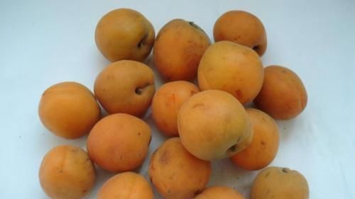 人到中年想长寿,常吃3种食物,健脑益智,降压降脂,增强免疫力