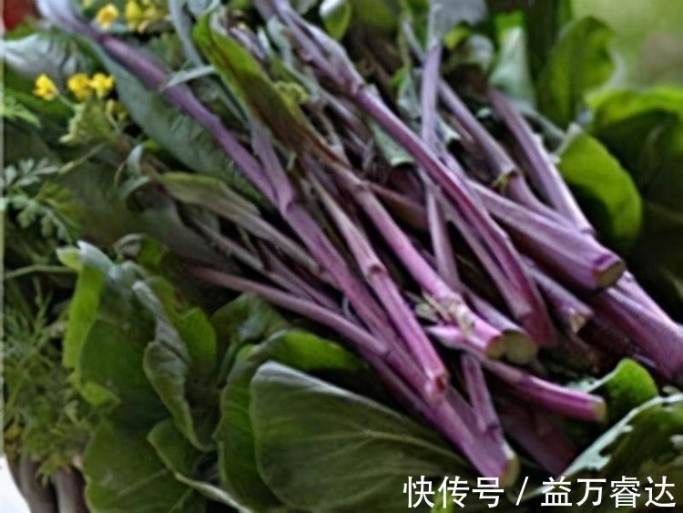 排毒养颜|每天晚上多吃3种食物，营养丰富、延缓衰老，早吃早受益！