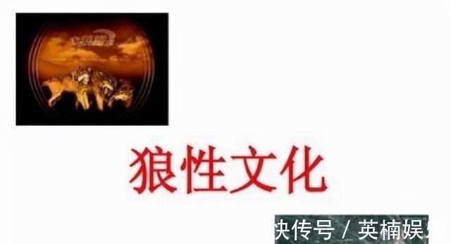 狼性管理|向任正非学习，格力推行狼性管理，董明珠：违反制度的元老也得走