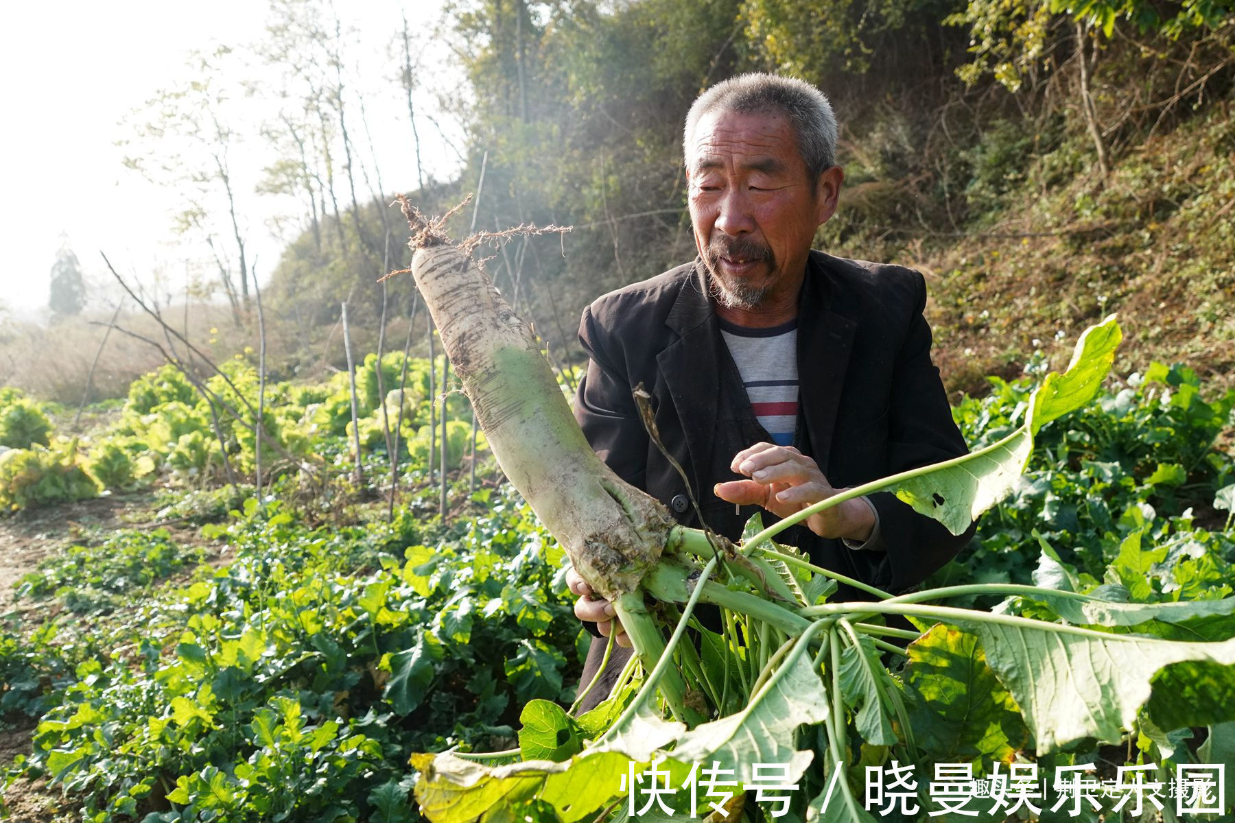 山洞!6旬农民痴迷周易八卦,独居山洞修炼养生30多年,看活成啥样
