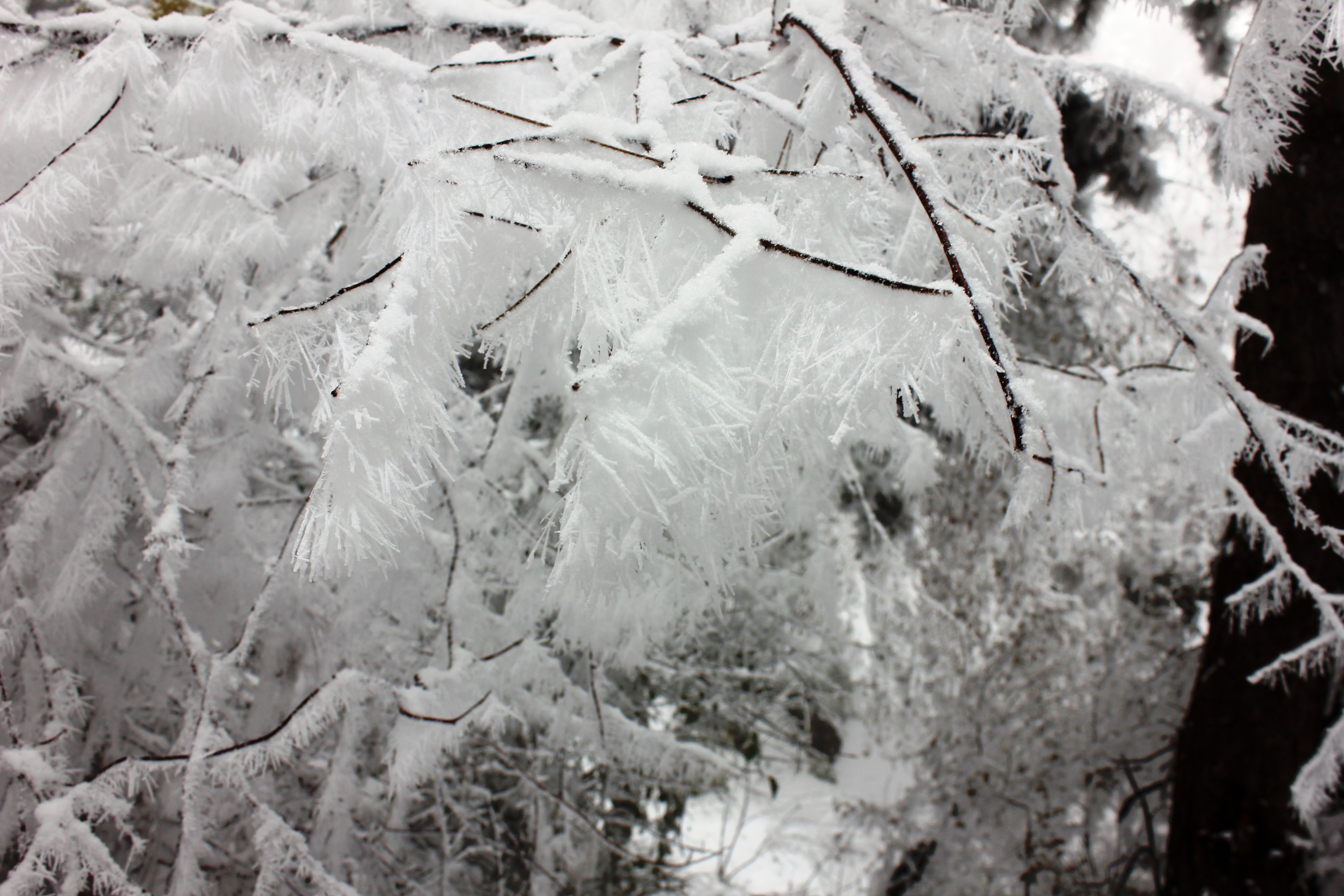 征集|【年末福利征集】雪后南五台幸遇云海