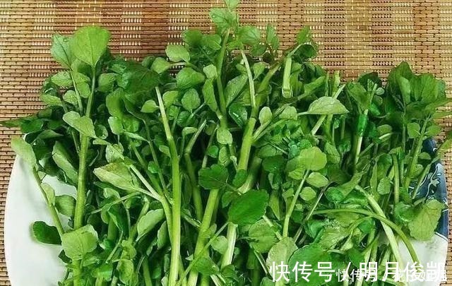 天冷了，家人记得多喝这汤，做法简单，营养极高，不懂太可惜